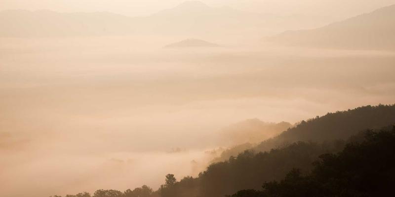 二手车48小时高效服务新标准：车95评估体系如何保障交易安全