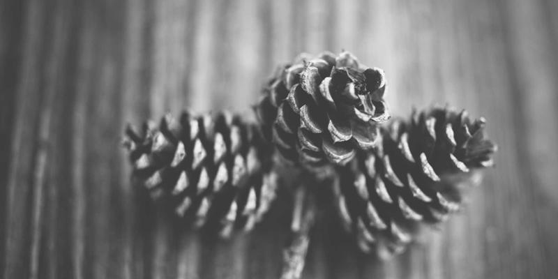 二手车买卖终极指南：个人卖家vs车商，交易流程、价格谈判与法律风险全解析