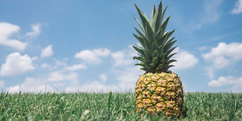 二手车交易全攻略：专业服务、安全买卖与精准评估一站式解析