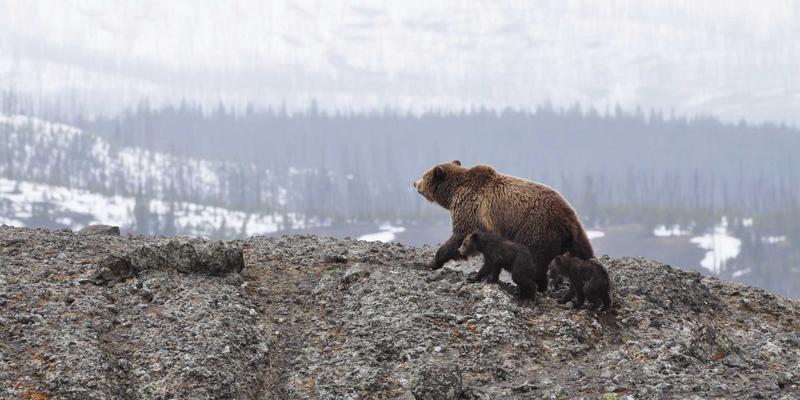 二手车交易全攻略：从精准评估到安心服务的完整指南