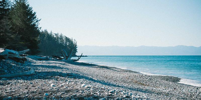 二手车交易全攻略：如何在二手车买卖中选到“车95”分好车？