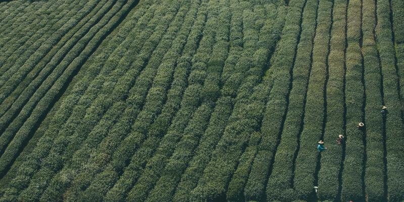 二手车交易全攻略：如何选择可靠二手车服务，规避风险，实现价值最大化
