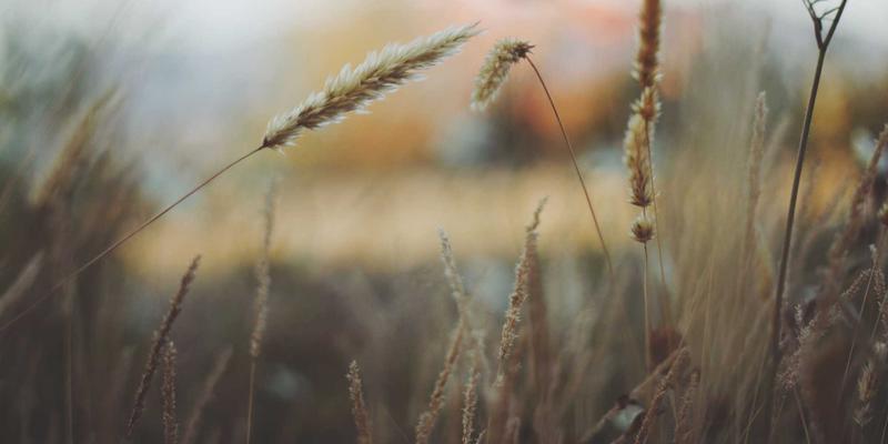 二手车交易指南：如何避开陷阱，实现车况与价值的双赢（聚焦“车95”标准）