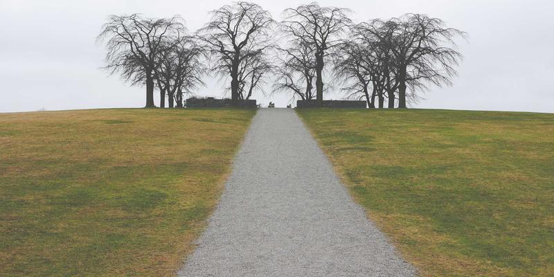 二手车是什么？全面解析二手车买卖、交易流程与车95平台价值