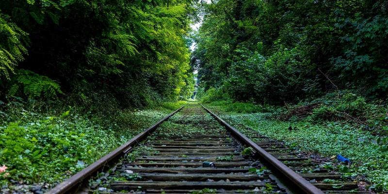 二手车选购指南：3大评估要点与95%避坑法则