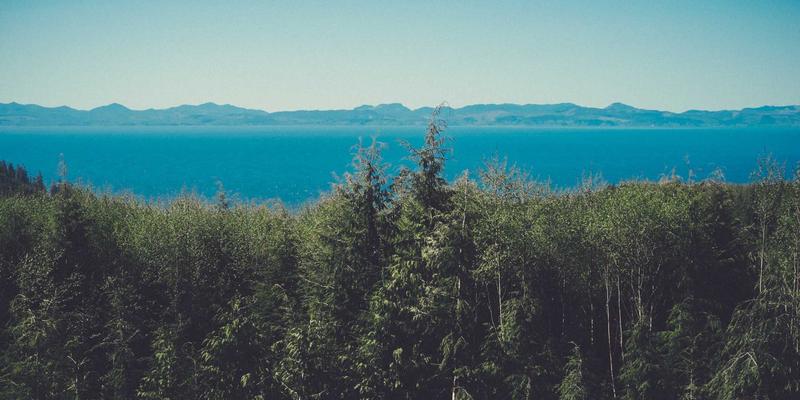 车95二手车买卖指南：如何在小众品牌中实现高性价比与独特个性的完美平衡