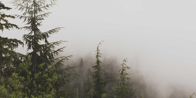 车95二手车全攻略：三步完成专业评估与优质服务筛选